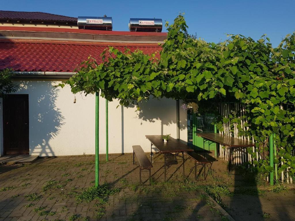 Vila Orizont Venus Dış mekan fotoğraf