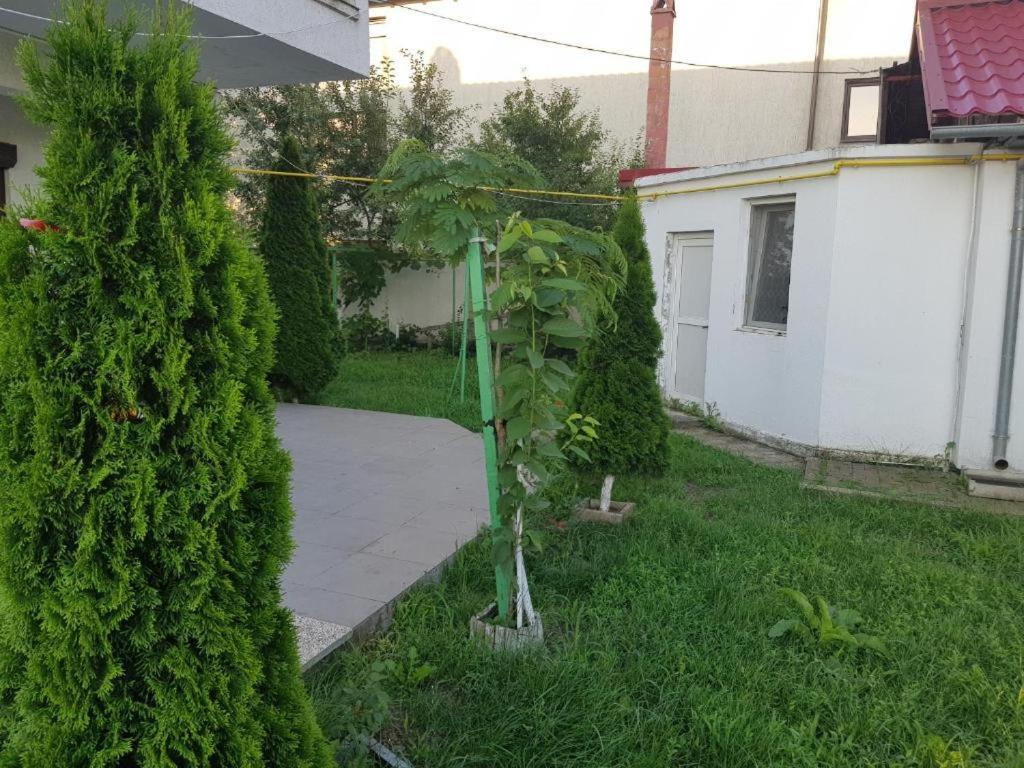 Vila Orizont Venus Dış mekan fotoğraf